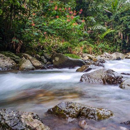 Oyo 93146 Lamin Indah Puncak Exterior foto